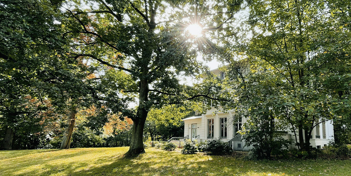 Das Sonnenlicht fällt durch hohe, belaubte Bäume in einem üppig grünen Garten und wirft Schatten auf das Gras. Ein weißes Haus mit großen Fenstern ist teilweise zwischen den Bäumen sichtbar.