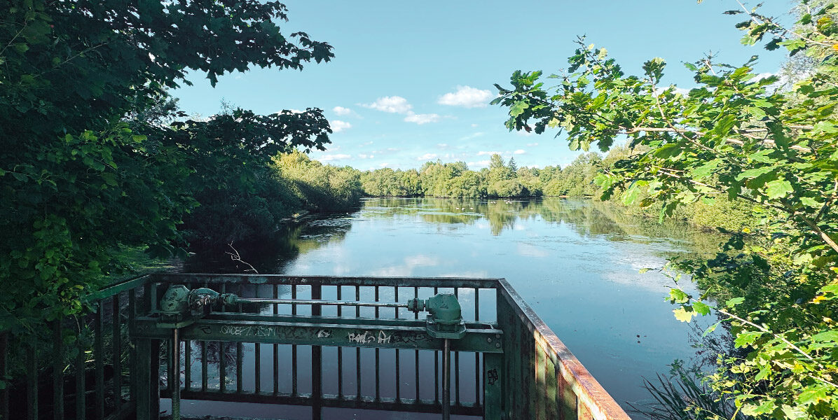 Ein Blick aus einer Neubauwohnung in Hamburg: ein ruhiger, von grünen Bäumen gesäumter Fluss unter blauem Himmel, gesehen hinter einem rostigen, mit Graffiti beschmierten und mit Laub überwucherten Metallgeländer.