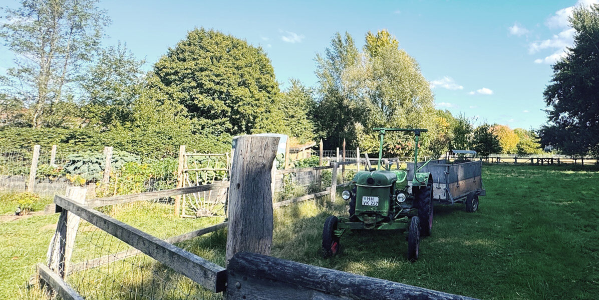 Ein grüner Oldtimer-Traktor mit Anhänger steht auf einer Wiese innerhalb eines eingezäunten Geländes in Hamburg, umgeben von Bäumen und Sträuchern unter strahlend blauem Himmel.