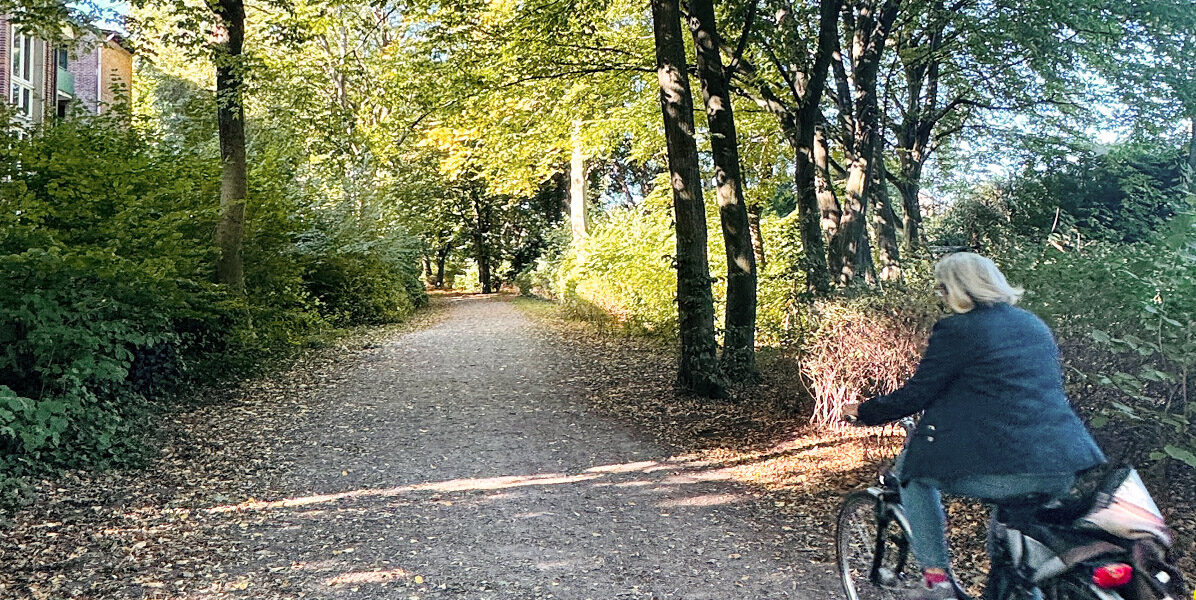 Eine Person mit hellem Haar fährt mit dem Fahrrad auf einem von Bäumen gesäumten Feldweg in einem sonnenbeschienenen Hamburger Park, vorbei an grünem Laub und Sonnenflecken auf dem Boden, in der Nähe moderner Neubauwohnungen.