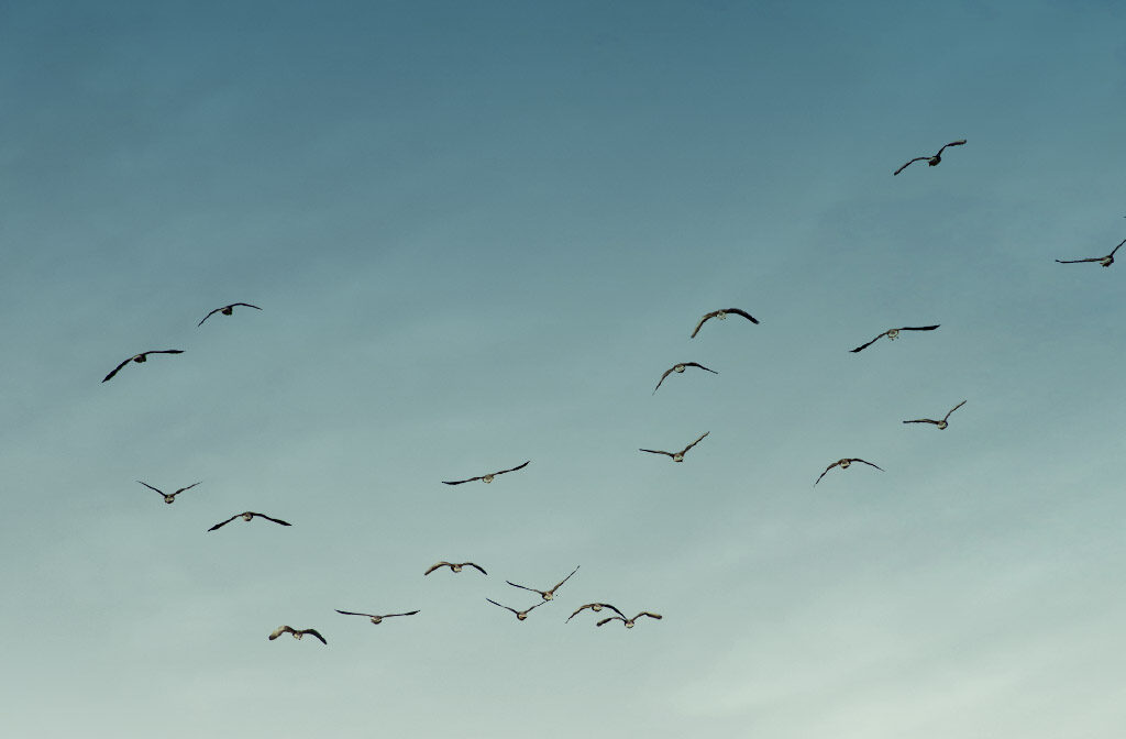 WK-teaser-Registrieren-1024x672 Kopie